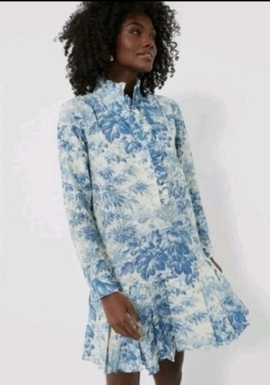 Tuckernuck Tate Misty Blue Toile Pleated Mini Dress Linen Blend XXL EUC